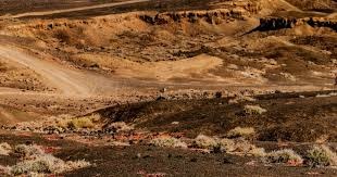 颜骏凌：夺冠的过程每年都不一样，4座中超冠军每一个都不同